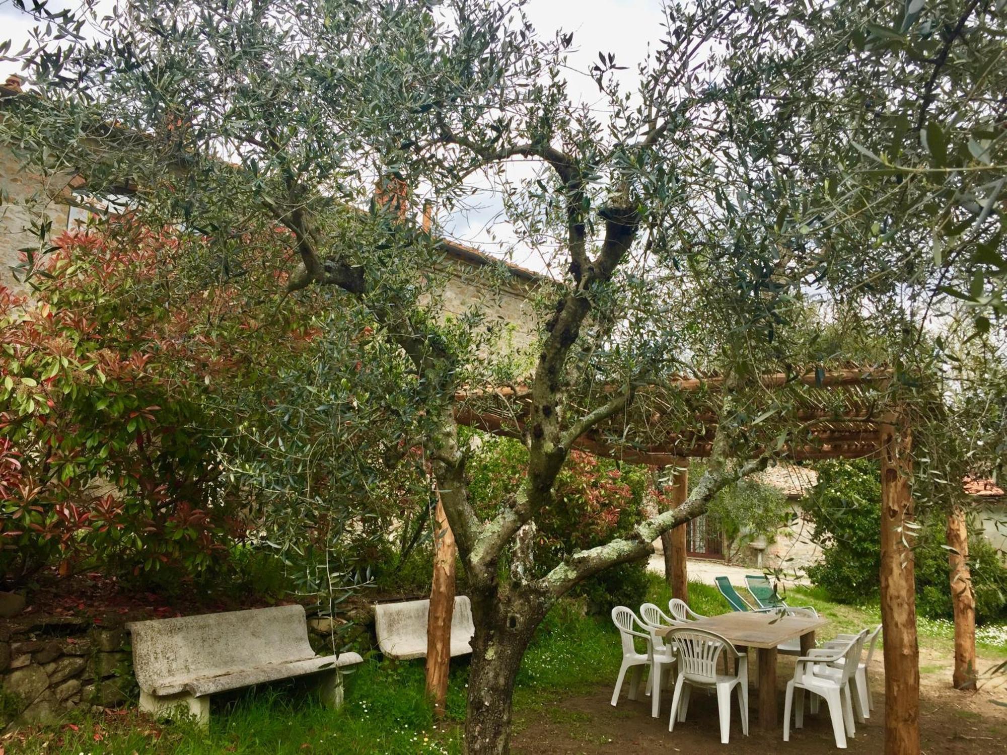 Agriturismo Fattoria Celle Figline Valdarno Habitación foto