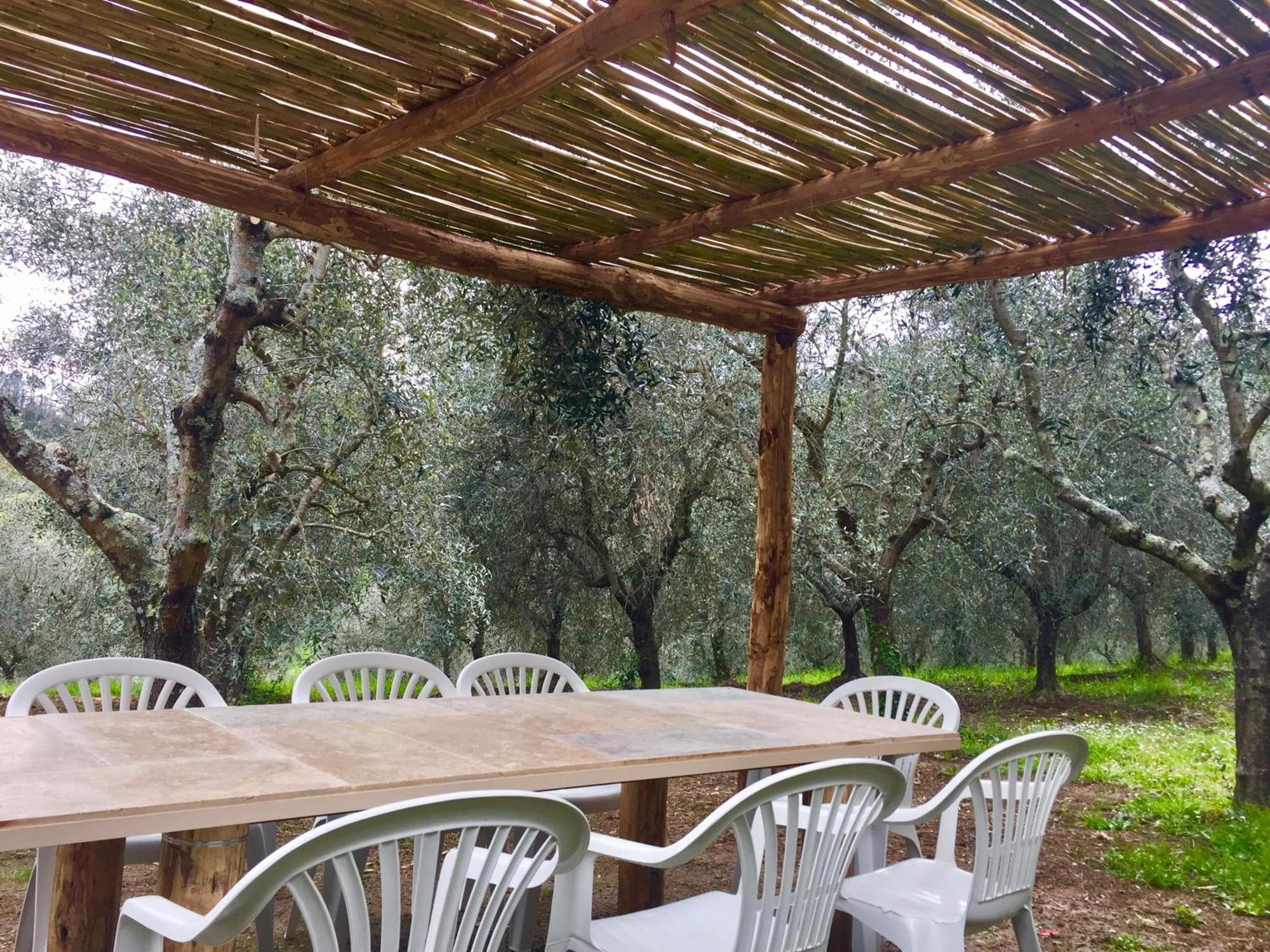 Agriturismo Fattoria Celle Figline Valdarno Habitación foto