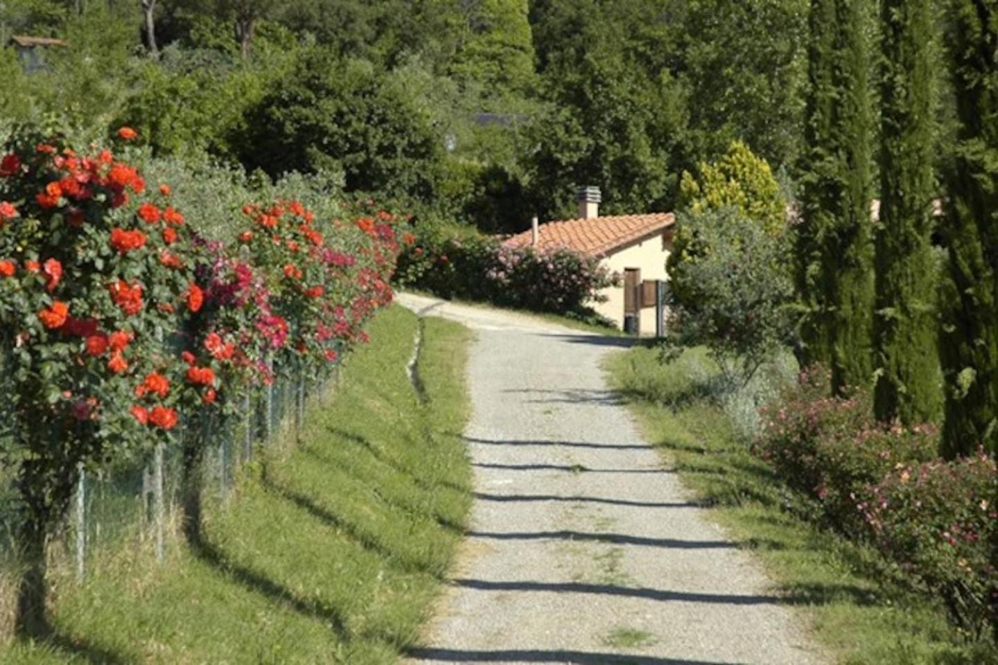 Agriturismo Fattoria Celle Figline Valdarno Habitación foto